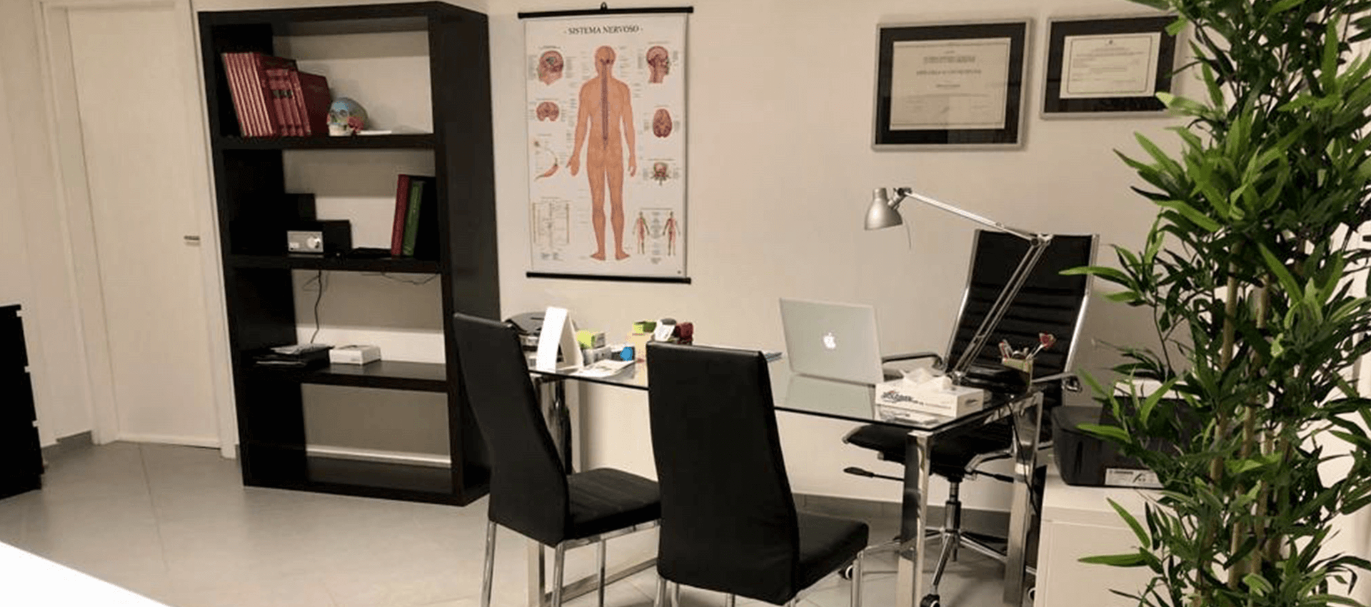 Studio osteopata 1